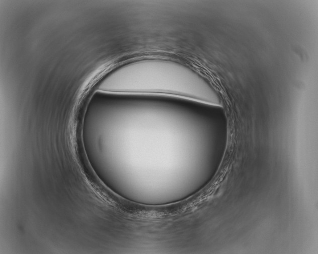 X0000113230197200909100950