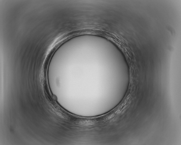 X0000113230198200909100950