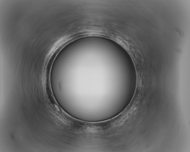 X0000113230199200909100950