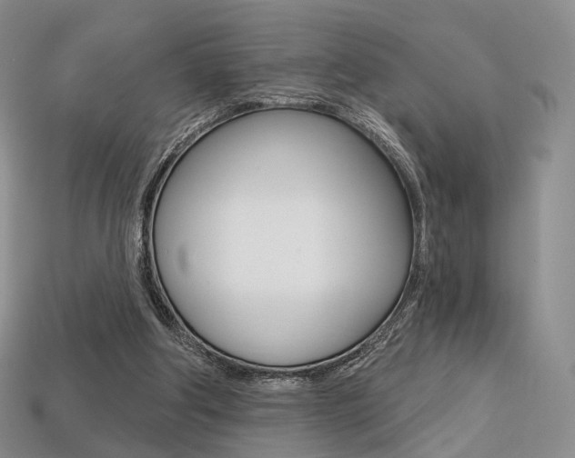 X0000113230202200909100950