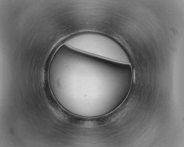 X0000113230204200909100950