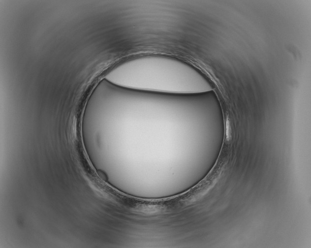 X0000113230205200909100950