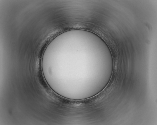 X0000113230206200909100950