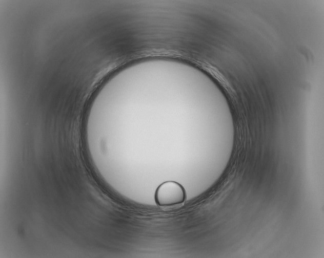 X0000113230207200909100950