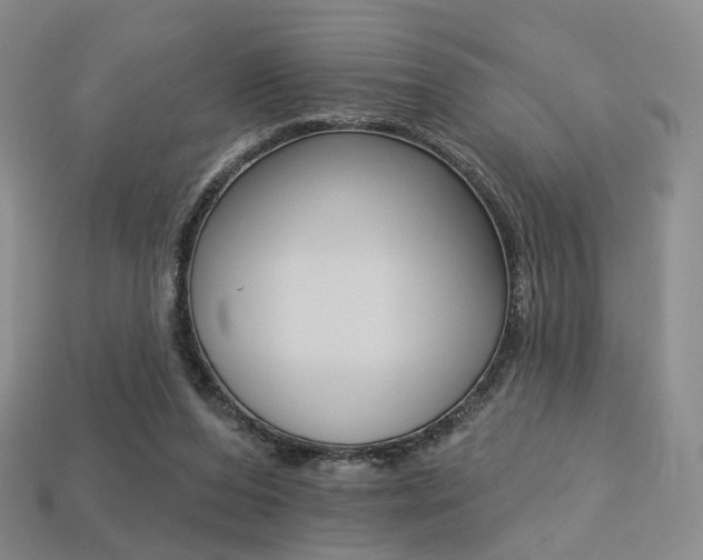 X0000113230208200909100950