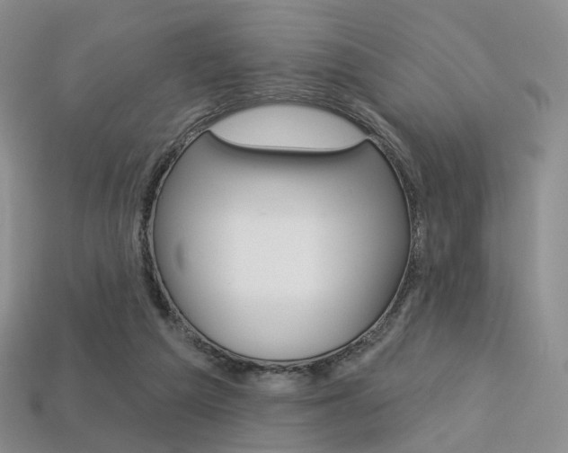 X0000113230209200909100950