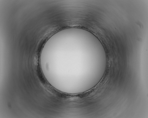 X0000113230210200909100950