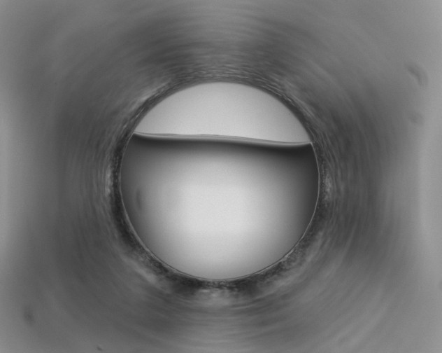 X0000113230211200909100950