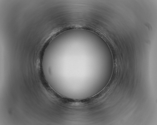 X0000113230212200909100950