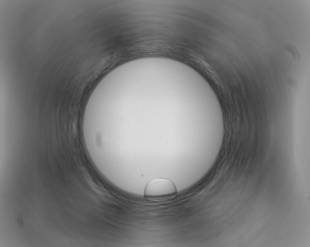 X0000113230213200909100950