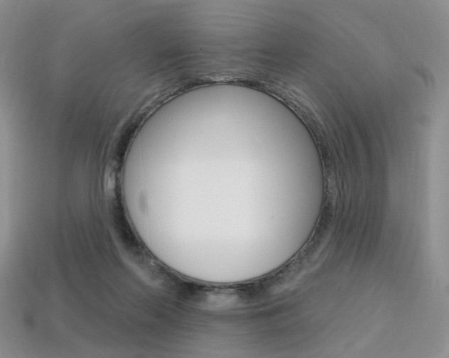 X0000113230214200909100950