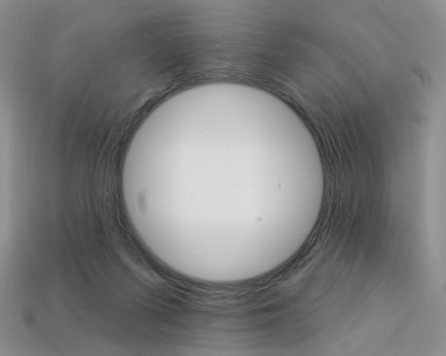 X0000113230215200909100950