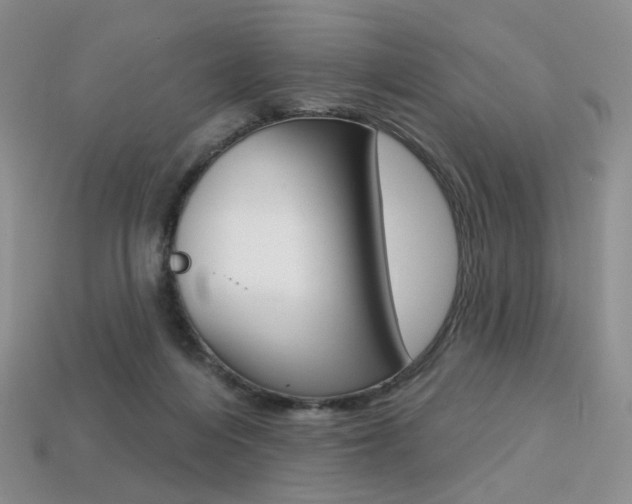 X0000113230216200909100950
