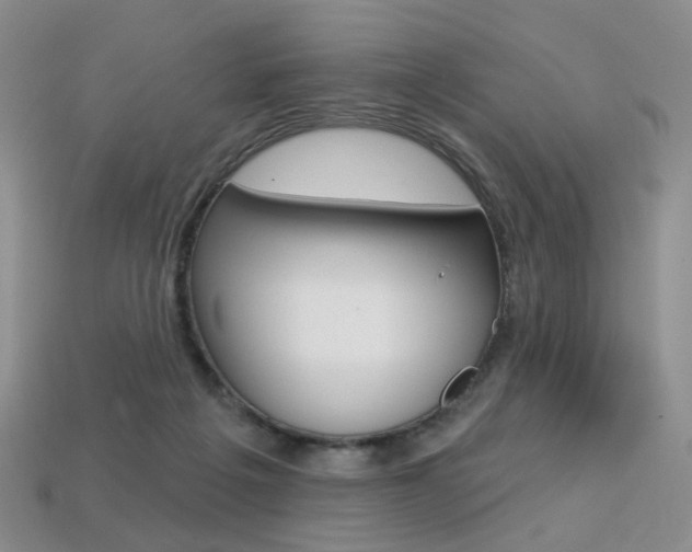 X0000113230217200909100950