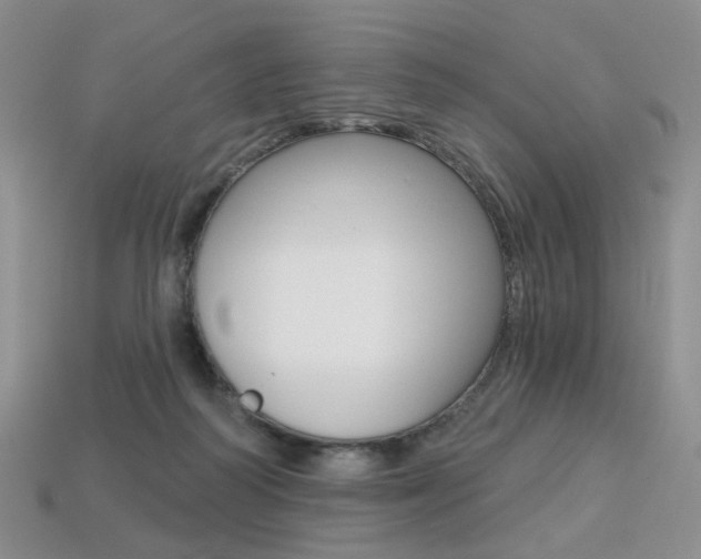 X0000113230218200909100950