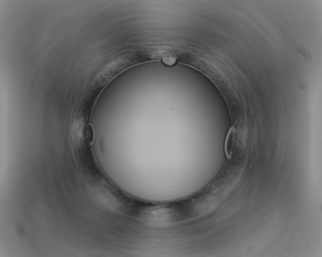 X0000113230219200909100950