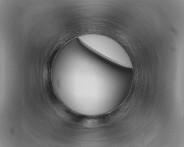 X0000113230220200909100950
