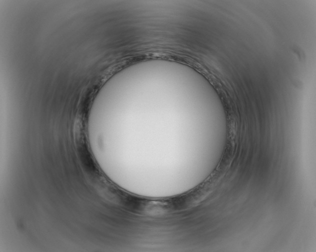 X0000113230222200909100950