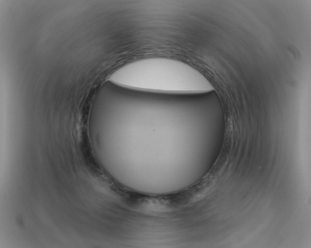 X0000113230223200909100950