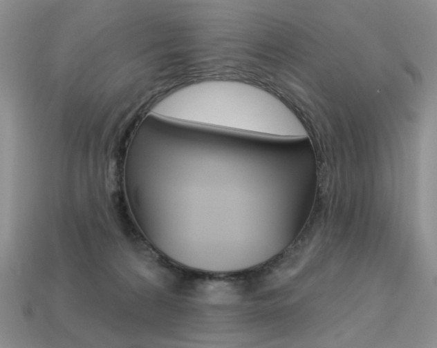 X0000113230224200909100950