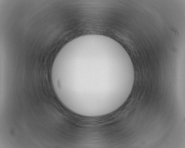 X0000113230225200909100950