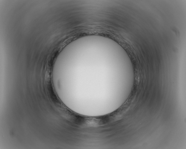 X0000113230226200909100949