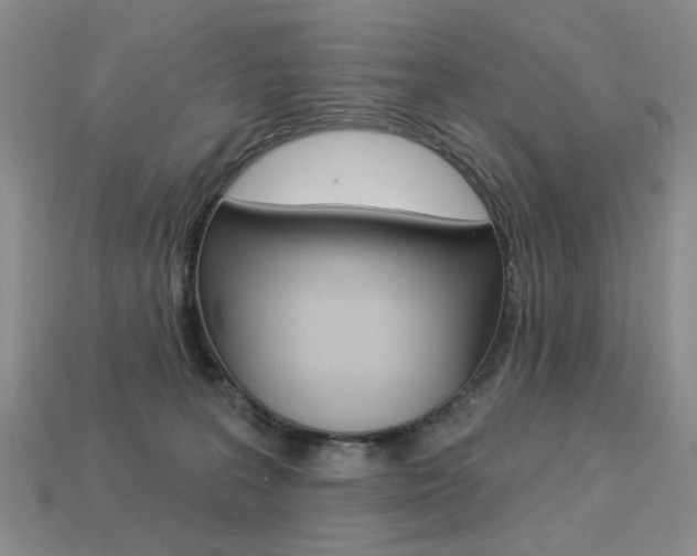X0000113230227200909100949