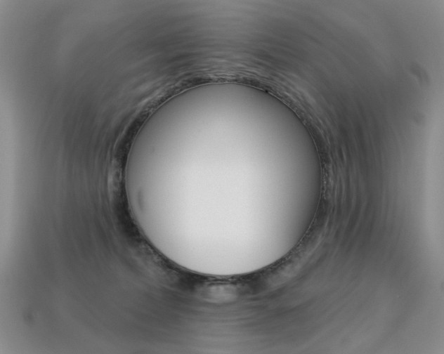 X0000113230228200909100949