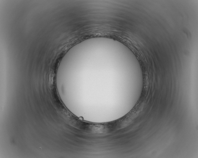 X0000113230230200909100949