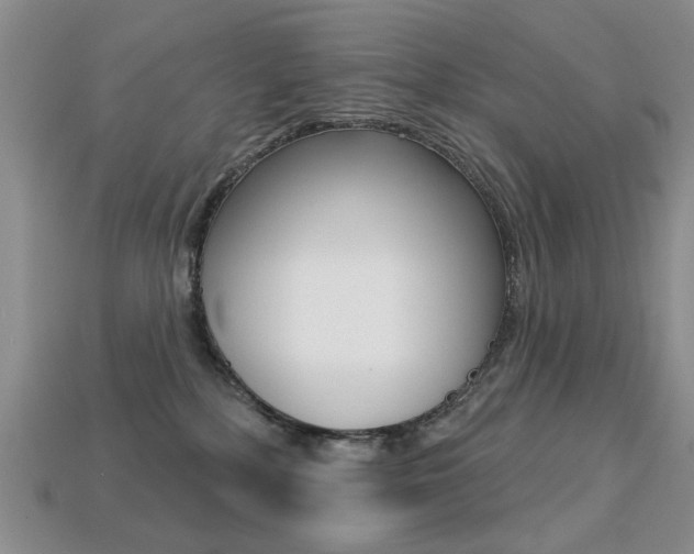 X0000113230232200909100949