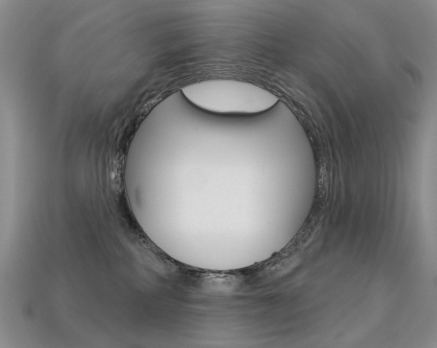 X0000113230234200909100949