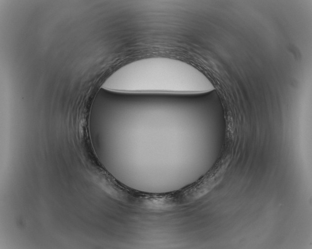 X0000113230235200909100949