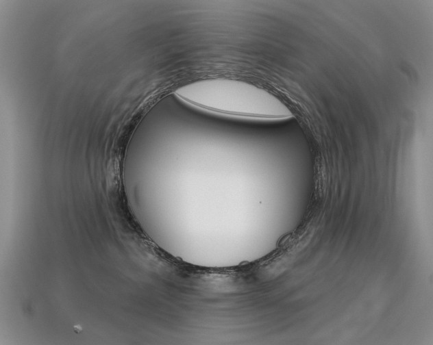 X0000113230236200909100949