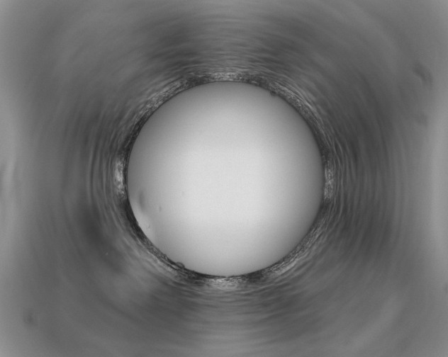 X0000113230238200909100949