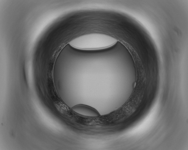X0000113230239200909100949