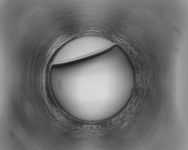 X0000113230242200909100949