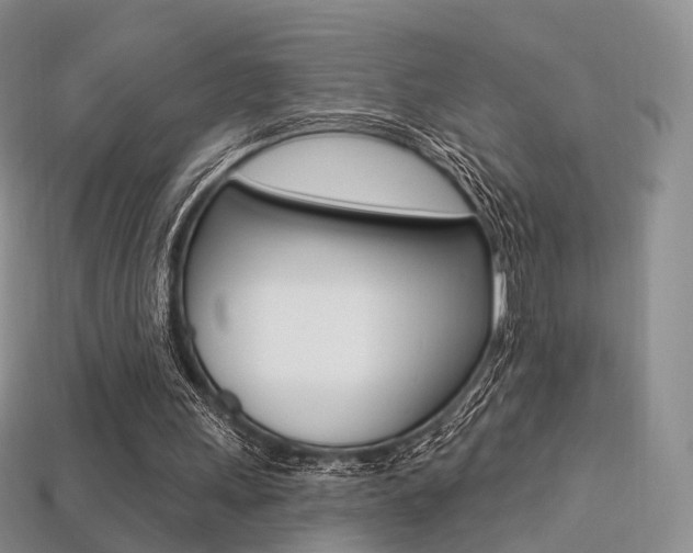 X0000113230243200909100949