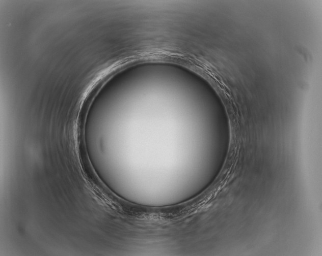 X0000113230244200909100949