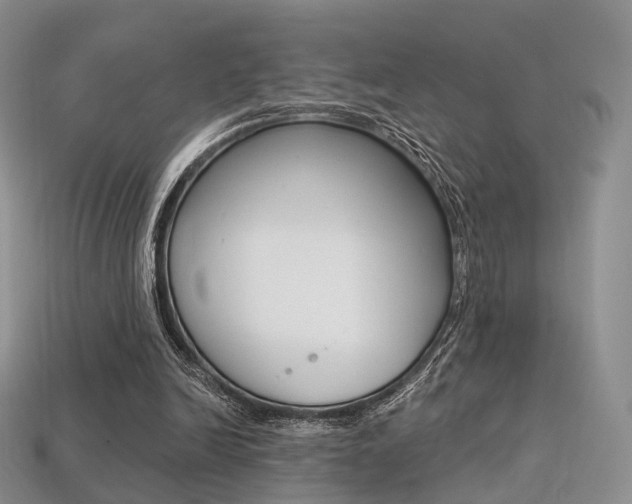X0000113230246200909100949