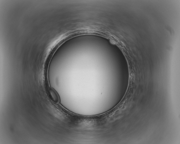 X0000113230248200909100949