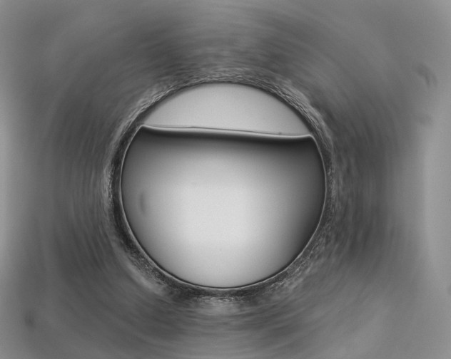 X0000113230250200909100949