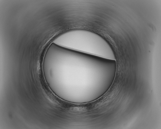 X0000113230251200909100949