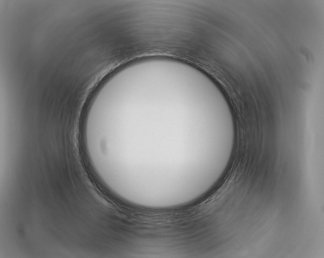 X0000113230252200909100949