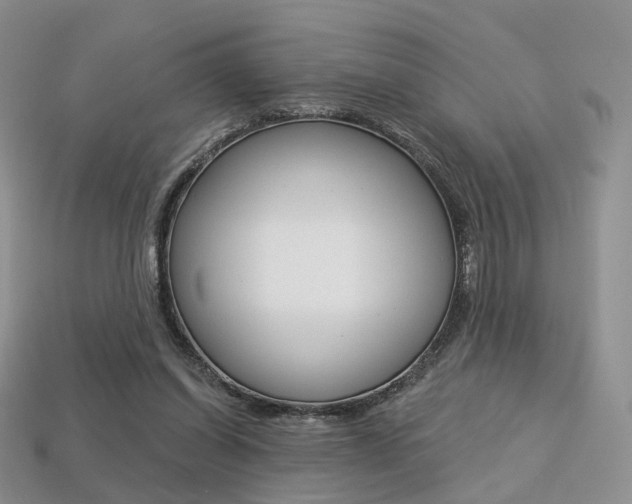 X0000113230254200909100949