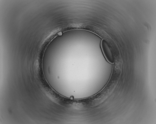 X0000113230256200909100949
