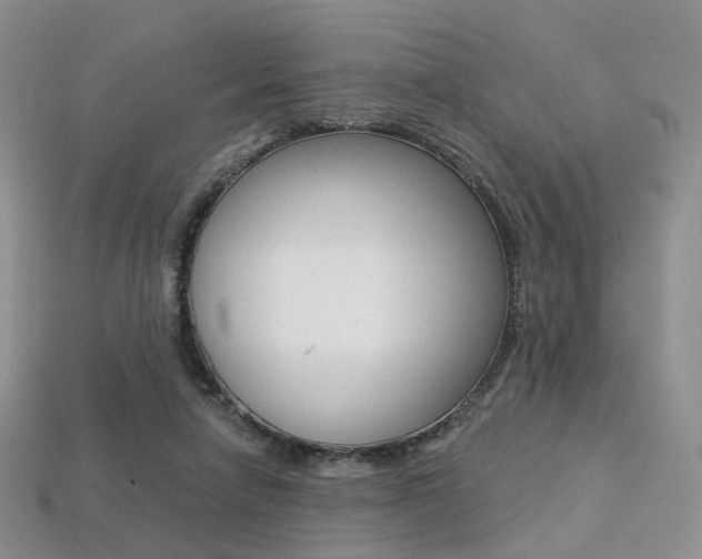 X0000113230258200909100949