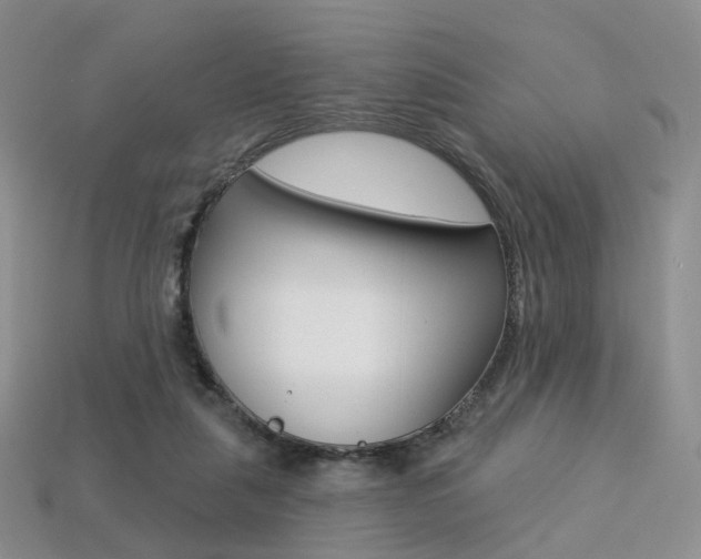 X0000113230259200909100949