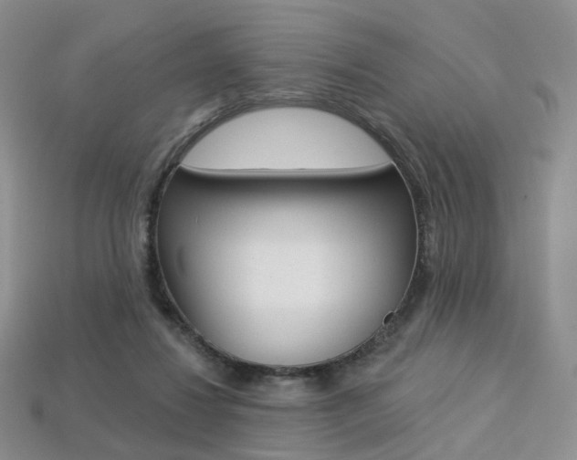 X0000113230260200909100949