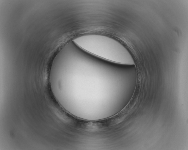 X0000113230261200909100949