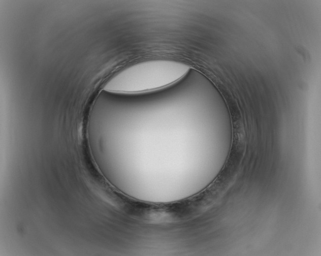 X0000113230262200909100949